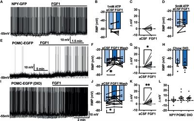 Fibroblast Growth Factor-1 Activates Neurons in the Arcuate Nucleus and Dorsal Vagal Complex